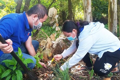 TP. Châu Đốc tổ chức vệ sinh môi trường và trồng 1.500 cây xanh