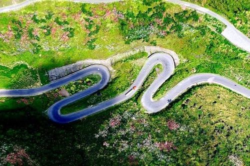 Phim hành động 578 bán được gần 20 tỷ đồng khi phát hành tại 9 quốc gia