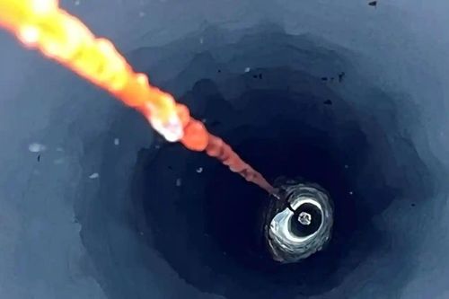 Phát hiện hệ sinh thái mới ẩn giấu dưới thềm băng lớn nhất Nam Cực