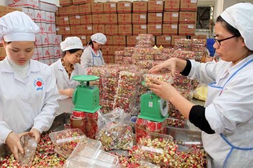 Tiền lương tối thiểu giờ, tính sao cho hợp lý?