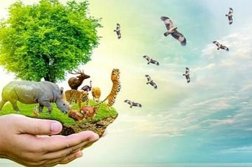 50 năm ngoại giao môi trường Liên hợp quốc: Nhìn lại thành tựu và những xu hướng tương lai
