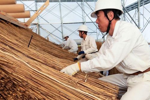 Doanh nghiệp Nhật thiếu nguyên liệu trầm trọng do vấn đề Ukraine
