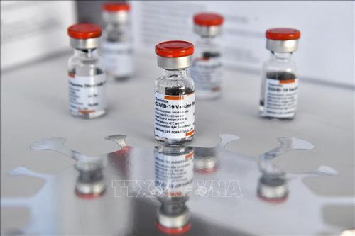Ai Cập hỗ trợ vaccine ngừa COVID-19 cho châu Phi