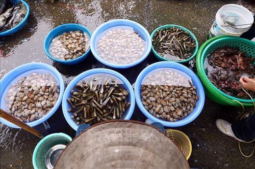 Về Cẩm Phả đến chợ cá Bến Do