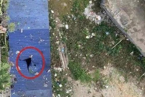 Vụ người đàn ông rơi từ tầng 11 chung cư: Không có dấu hiệu tội phạm