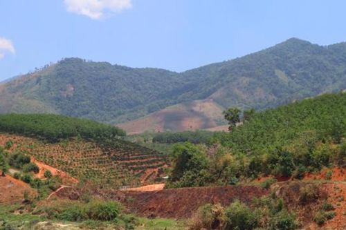 Cổ phần hóa và thoái vốn doanh nghiệp nhà nước: Vẫn nghẽn