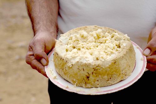 Loại phô mai đáng sợ nhất thế giới