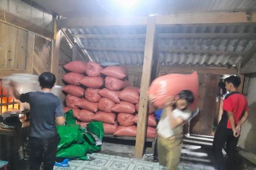 Thanh Hóa: Mưa lớn, sơ tán khẩn cấp 45 hộ dân ở Mường Lát