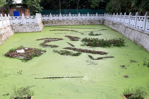 Hai cháu nhỏ bị đuối nước thương tâm dưới ao