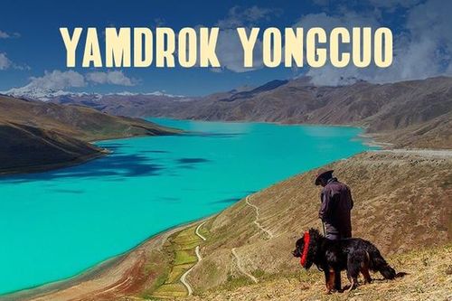 Yamdrok - hồ nổi tiếng nhất Tây Tạng có trữ lượng cá cả triệu tấn nhưng không ai dám ăn