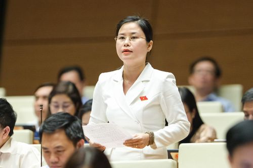 ĐBQH Đặng Thị Bảo Trinh (Quảng Nam): Đánh giá tác động việc di dân, tái định cư