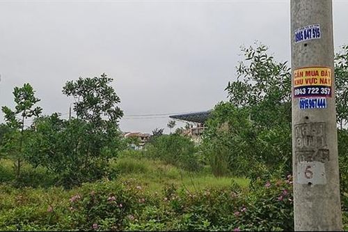 Rộ tình trạng 'bỏ cọc' đất ở Quảng Trị