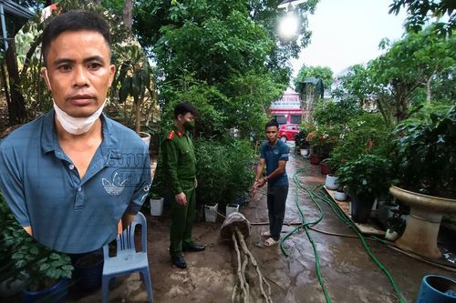 Khởi tố kẻ gây ra nhiều vụ trộm cây hoa mộc, giá trị khoảng 400 triệu đồng