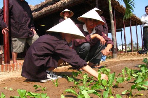 Quảng Nam xây dựng sản phẩm du lịch xanh