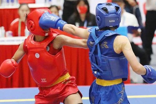 Bước tiến của wushu Việt Nam