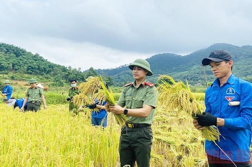 Khởi động Giải báo chí về thanh thiếu nhi Việt Nam năm 2022