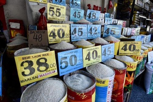 Philippines gia hạn ưu đãi thuế đối với gạo nhập khẩu ngoài khu vực Đông Nam Á