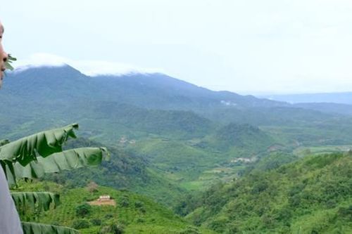 Để mất hơn 2.000ha rừng, nhiều cán bộ chỉ bị kiểm điểm… rút kinh nghiệm