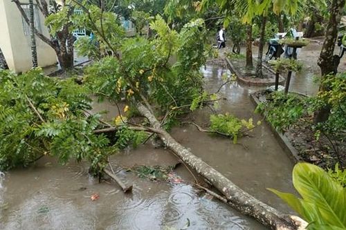 Sóc Trăng: Hỗ trợ các hộ dân bị ảnh hưởng sau thiên tai