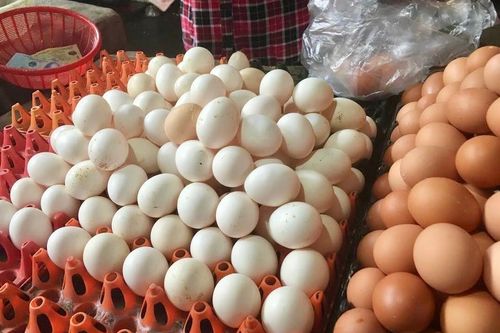 Giá trứng bình ổn ở TP.HCM sắp tăng