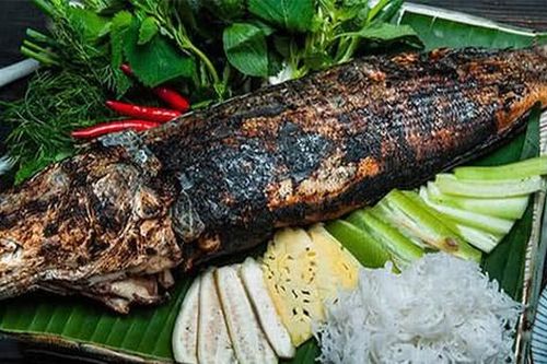 Bình Phước: Người đàn ông tử vong nghi ngộ độc do ăn cá lóc ôi thiu