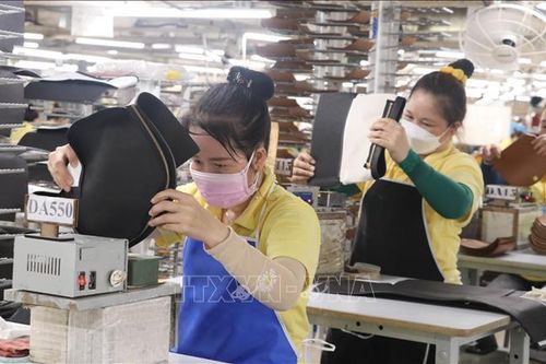 Lý do ngày càng nhiều doanh nghiệp châu Âu chọn đầu tư ở Việt Nam