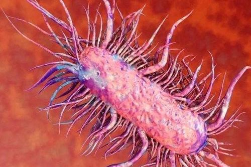 Vụ bé gái 9 tuổi mắc bệnh 'vi khuẩn ăn thịt người': Bác sĩ khuyến cáo