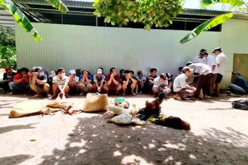 Kiên Giang: Hàng chục đối tượng đánh bạc bị bắt giữ, thu hơn 100 triệu đồng