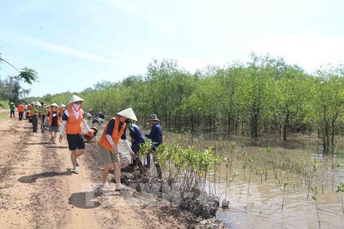 Trà Vinh: Khởi động Dự án phục hồi rừng ngập mặn