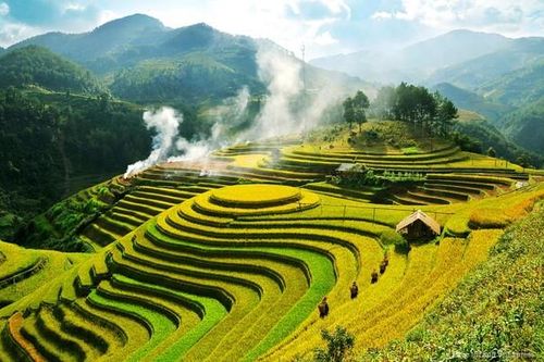 Giải pháp nào đưa nền nông nghiệp Việt Nam 'cất cánh'?