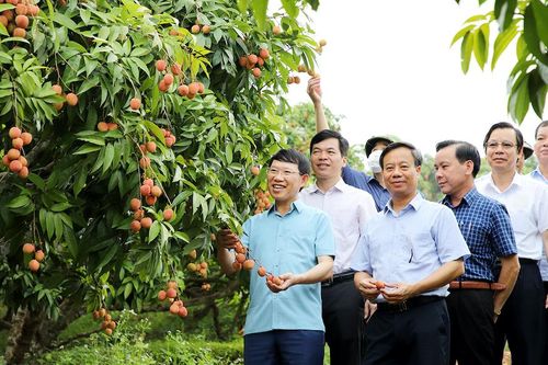 Đa dạng ứng dụng khoa học công nghệ, xây dựng bảo hộ giống để tăng giá trị sản phẩm