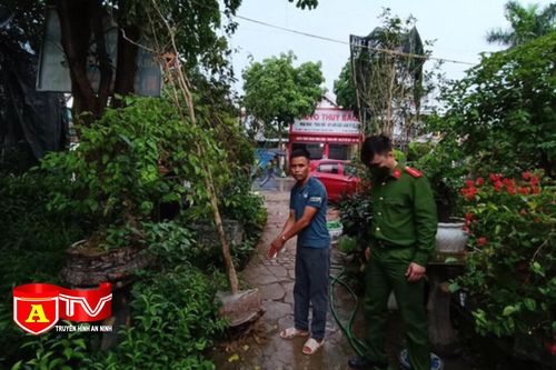 Điều tra truy xét bắt đối tượng chuyên trộm cây hoa mộc