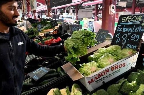 Australia điêu đứng trước cuộc khủng hoảng rau quả sạch