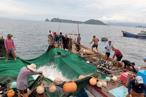 Nguy cơ 'xóa sổ' nghề lưới đăng