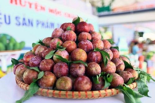 Sản phẩm OCOP quốc gia: Phát triển bề rộng, không 'bỏ ngỏ' chất lượng