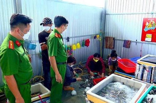 Bạc Liêu: Xử phạt chủ cơ sở bơm tạp chất vào tôm nguyên liệu 60 triệu đồng