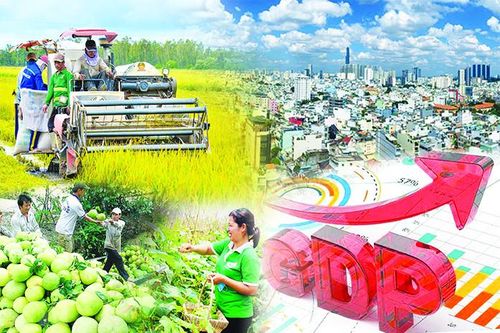 Nông nghiệp luôn là trụ đỡ của nền kinh tế