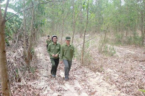 Tìm giải pháp quản lý tốt rừng giao khoán