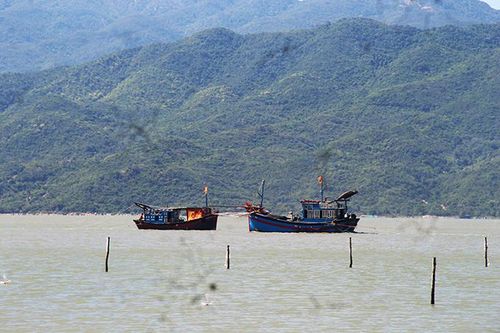UBND tỉnh Khánh Hòa chỉ đạo kiểm tra, xử lý tình trạng cào sò trên đầm Nha Phu