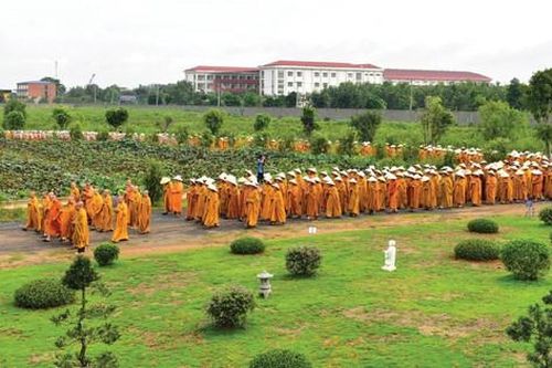 Trưởng lão Hòa thượng Thích Như Niệm: 'Tu sĩ yêu nước sẽ làm tốt vai trò 'hộ quốc an dân''