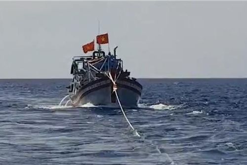 Cứu hộ tàu cá cùng 13 ngư dân từ vùng biển Trường Sa về cảng Ba Ngòi