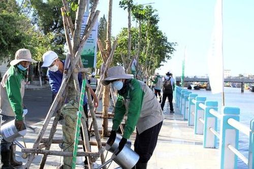 Bình Thuận đẩy mạnh trồng cây xanh: Dân đồng tình, doanh nghiệp đồng lòng