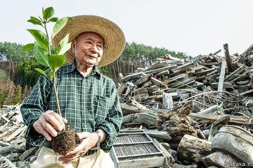 Trồng rừng kiểu Miyawaki