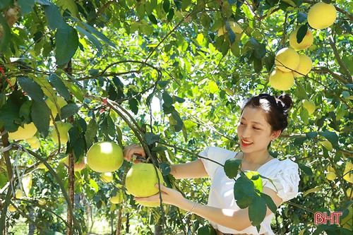 Khi đặc sản Hà Tĩnh thành sứ giả văn hóa, du lịch