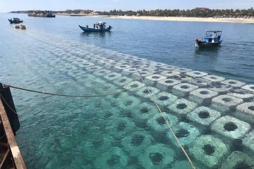Quảng Nam xây đê ngầm, tạo bãi chống sạt lở khẩn cấp bờ biển Cửa Đại