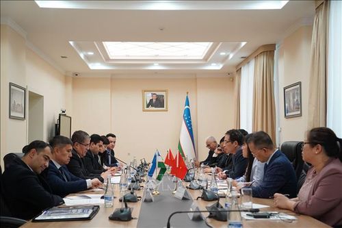 Việt Nam và Uzbekistan thúc đẩy tăng cường quan hệ hợp tác nhiều mặt