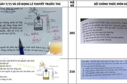Bộ GD&ĐT thông tin về vi phạm trong xây dựng đề thi môn Sinh học