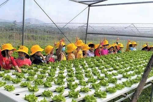 Tạo dấu ấn trên thị trường nhờ công nghệ cao