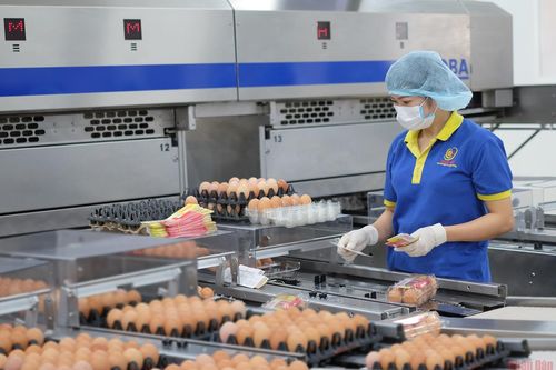 Linh hoạt ứng phó với giá nguyên liệu tăng