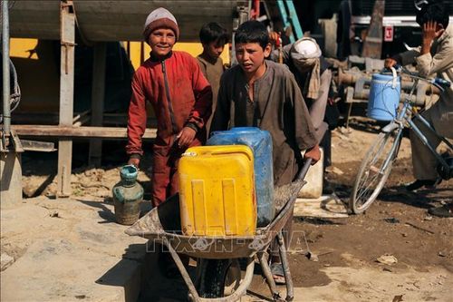 Vũ khí bảo vệ trẻ em